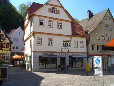 3ZKB-Wohntraum f. Individualisten: sanierter historischer Altbau, Citylage, Schloßblick