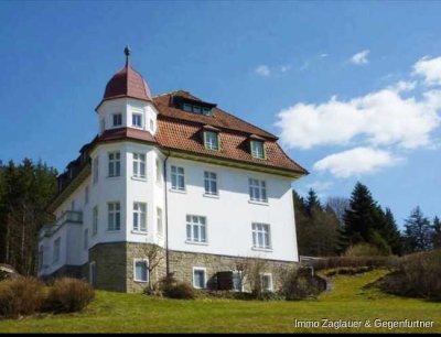 Denkmalgeschützte Wohnung in Spiegelhütte - renovierungsbedürftig - Erdgeschoss mit Terrasse