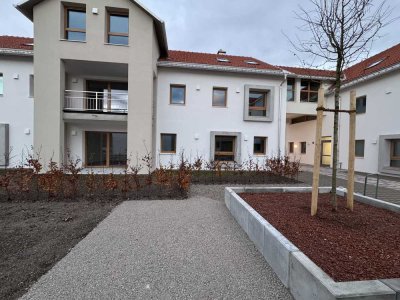 Neubau helle 3 ZKB mit Terrasse und Garten