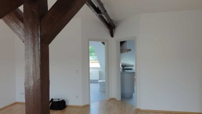 Freundliche 1-Zimmer-Wohnung mit EBK in 01309, Dresden