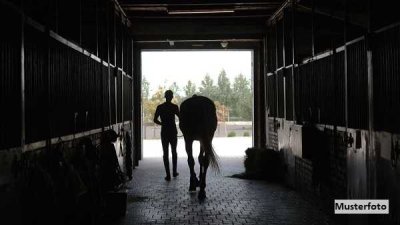 Ein Fall für den Pferdeliebhaber: Hofstelle in schöner, ruhiger Alleinlage