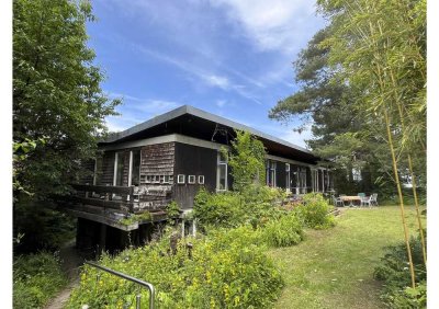 Pionierhaus im Grünen