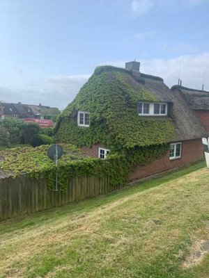 Halbinsel Nordstrand - Romantisches Reetdachhaus direkt am Deich: IHR NEUES FERIENHAUS !