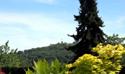 Sonnengrundstück in Bestlage - mit genehmigtem Bauantrag für mögliche Erweiterung