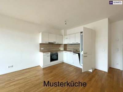 Hier ist für jeden die passende Wohnung dabei - Traumprojekt in Wiener Neustadt! Verlieben Sie sich jeden Tag auf´s Neue in Ihre Wohnung! RASCH SEIN!!