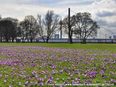 Düsseldorf-Golzheim: TRAUMWOHNUNG MIT Rhein-BLICK ÜBER DEN RHEIN BIS HIN ZUR ALTSTADT.