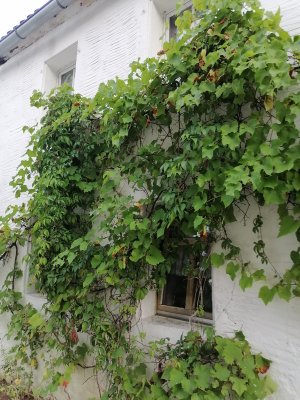 Schöne 3 Zimmer Wohnung günstig zu vermieten