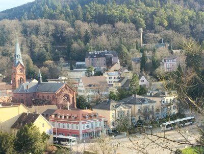 2-Zimmer Wohnung mit grosser Terrasse und Vogesenblick