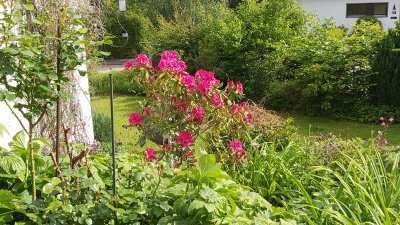 Großzügiges sonniges Einfamilienhaus mit Einliegerwohnungohne Provision