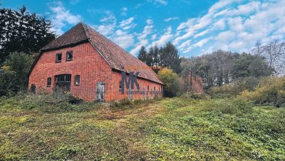 unverbauter Resthof im Teufelsmoor zu verkaufen