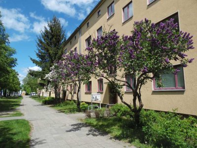 Stop! Renovierte  2 1/2-Raum Wohnungen  in ruhiger Lage!