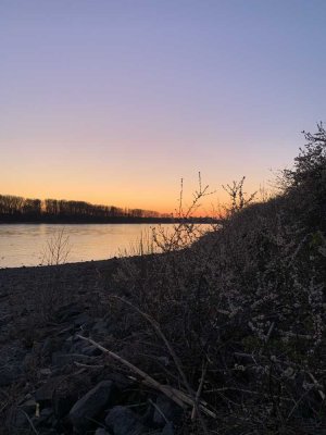 Den Rhein im Blick: 5-Zimmer-Wohnung mit Terasse und Gartennutzung in Rheidt