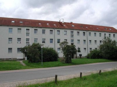 gemütliche 2,0 Raum Wohnung in Kemnitz