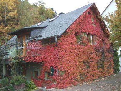 Einbauküche, Dachterrasse, Kamin und begehbarem Spitzboden - was will man mehr