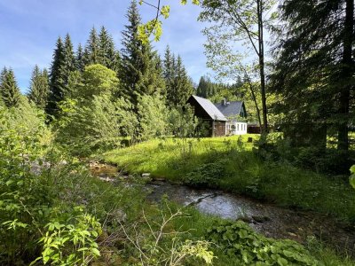 Seltenes Fundstück: idyllisches Chalet auf 1ha Waldgrundstück mit Wildbach im Naturpark Erzgebirge