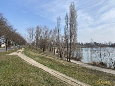 NOCH 1 HAUS FREI! TOPLAGE. PHOTOVOLTAIK! INSEKTENSCHUTZ, RAFFSTORES, KÜHLUNG. 6 ZIMMER - 2 BÄDER - 3 TOILETTEN - KELLER.