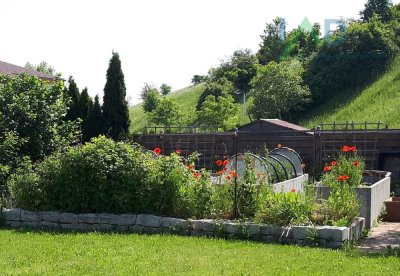 Großzügige Wohnung mit Einfamilienhaus-Charakter und ruhigem Garten in zentraler Randlage