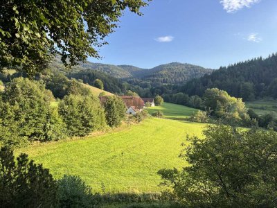 Toplage in Waldkirch: einmalige Gelegenheit mit herrlichem Ausblick