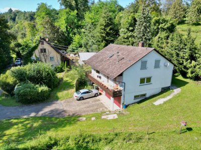 Hofstelle / Landwirtschaftliches Anwesen mit großen Flächen