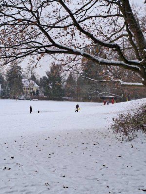 Traumhafte Villenlage direkt am Park!