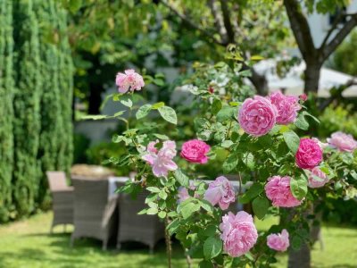 BEZAUBERNDE, CHARMANTE DHH FÜR FAMILIEN MIT TRAUM-GARTEN IN SOLLN, ABSOLUT RUHIG, AN/AUSBAU MÖGLICH