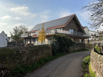 Wohnen im Park 2,5-Zimmer-Dachgeschosswohnung mit luxuriöser Ausstattung mit Balkon in Eisenberg