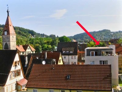 Exkl. Penthouse – hell, barrierefrei, teilbar, mit gr. Terrasse, Sauna, Küche und herrlichem Blick