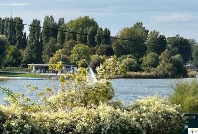 HERRLICHER BLICK AUF DIE ALTE DONAU