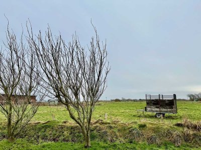 Sylt! Attraktive Lage!  3 bis 4 Zimmer Wohnung auf einer Ebene Gartenanteil 2 PKW-Stellplätze