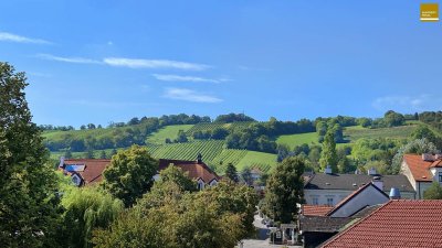 Beste Zentrumslage-Stiftnähe, herrlicher Weinbergblick, 2 Terrassen