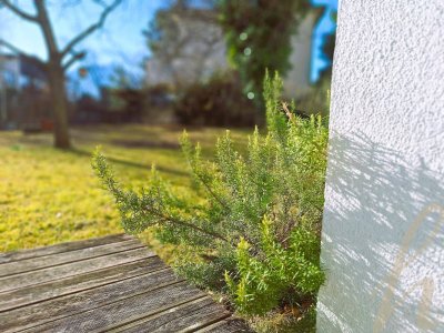 Ein SONNENPLATZ für STADT- u. NATURLIEBHABER