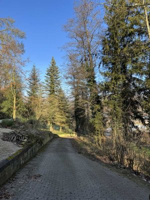 3,5-Zimmer-Wohnung in Angelbachtal