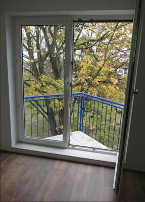 1 Zimmer Apartment in Viernheim 33,5 m2 ab 01.12. zu vermieten