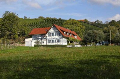 Exklusives Landhaus mit großzügigem Grundstück in traumhafter, unverbaubarer Panoramalage