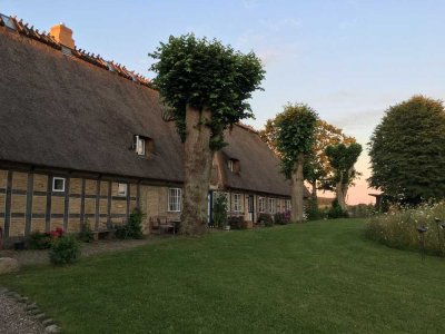 Schöne Wohnung in saniertem Resthof in Ulsnis