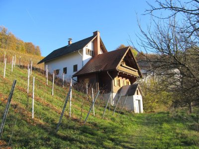 SÜDSTEIRISCHES WEINLAND: LANDWIRTSCHAFT IN RUHIGER EINZELLAGE MIT WEINGARTEN