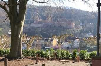 Traumhafte Villenwohnung mit Schlossblick in Heidelberg Neuenheim