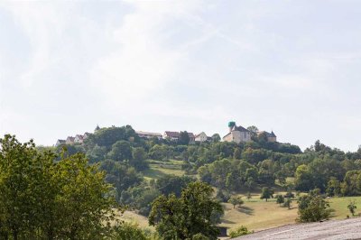 2-Zi-Wohnung (EG) mit gehobener Innenausstattung und Einbauküche in Waldenburg! Traumhaft!