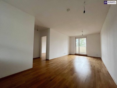 Perfekte SINGLE oder PÄRCHENWOHNUNG mit traumhaften BALKON! Ab sofort verfügbar! Haustiere erlaubt!