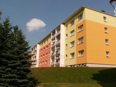 sofort bezugsfertige 3-Raumwohnung mit Dusche