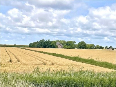 Rarität auf Eiderstedt                                       Haubarg | Rohbau | + Altenteil