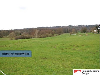 15.275m² großer Resthof mit Weide, Stallungen & Scheune vor den Toren der Landeshauptstadt Hannover