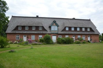 Reetdach-Reihenhaus mit Charme, Kamin, Terrasse und offenem Garten als Alterswohnsitz bei Dassow