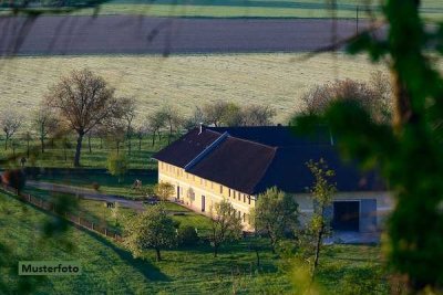 Einfamilienhaus mit div. Nebengebäuden