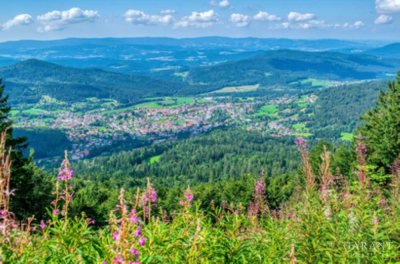 Platz ohne Ende  - Das besondere Einfamilienhaus in Bodenmais!