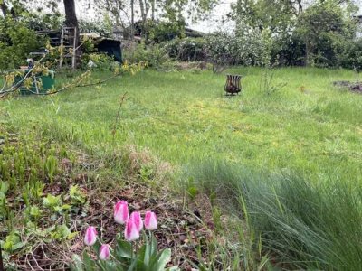 Schon jetzt an den nächsten Sommer denken und ein gemütlichen Garten anlegen.