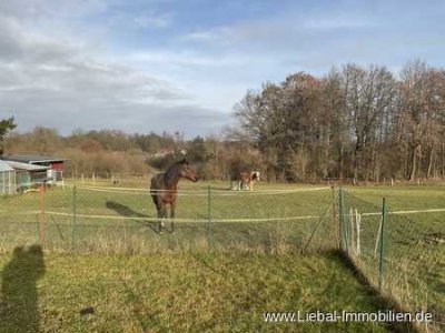 Für Naturliebhaber, Landhaus, Feldberger Seenlandschaft !!!