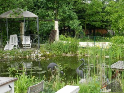 Luxus am Stadtrand von Salzburg, Einfamilienhaus mit Pool-Wintergarten-Saunahaus-Aussenküche-Garten-Teich-Garagen