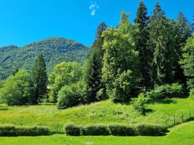 Tauschen neuwertige 4-Raum-Wohnung mit Balkon in Bad Ischl gegen Haus/Baugrund