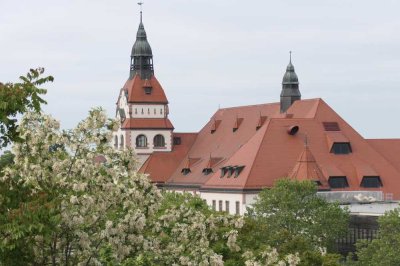 Provisionsfrei - Traumhafte Dachterrasse mit Blick auf den Leipziger Zoo